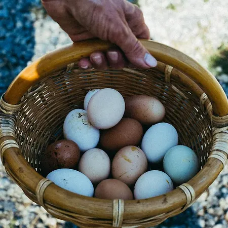 Vallerana Séjour à la ferme