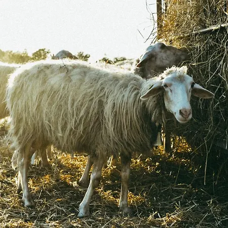 Séjour à la ferme Vallerana *